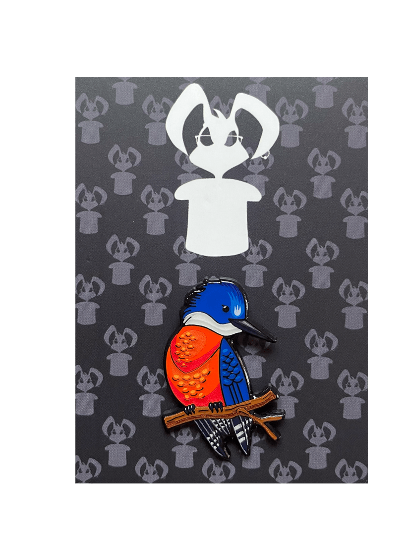 PIN MARTÍN PESCADOR